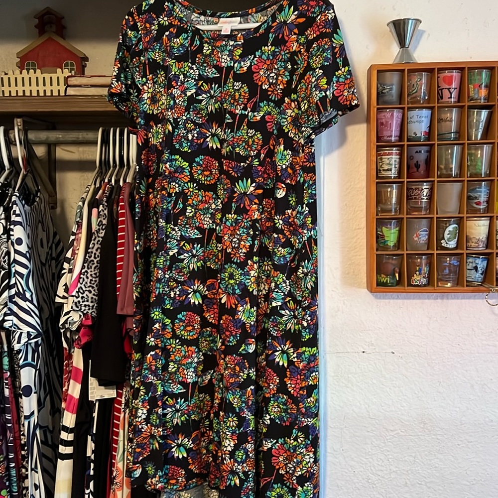 Small lularoe Carly